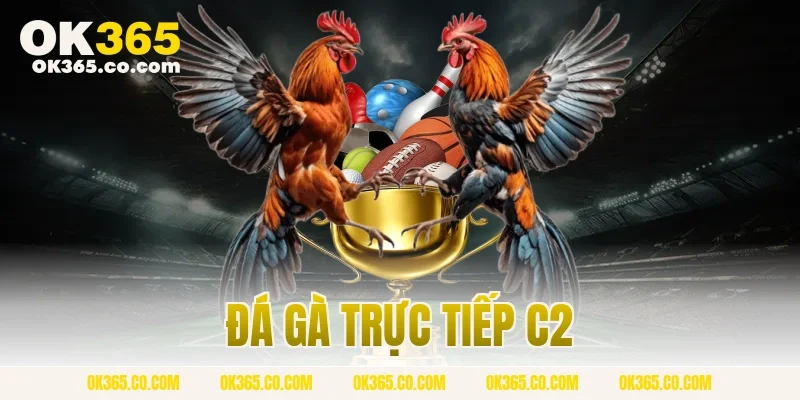 đá gà trực tiếp C2